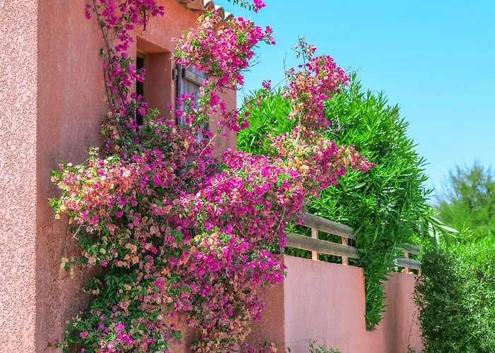 Le Maquis Bella Vista Propriano (Corsica)