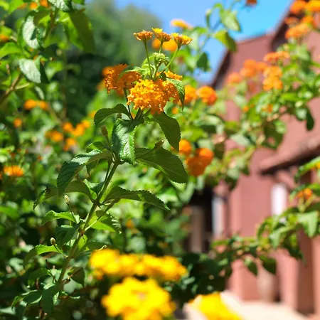 Résidence Maquis Bella Vista Hébergement de vacances *